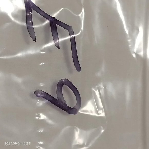 Vintage 80s Gold Tone Post Earrings  Clip On Shell Waffle Lattice Unbranded 1.75 - Picture 12 of 12